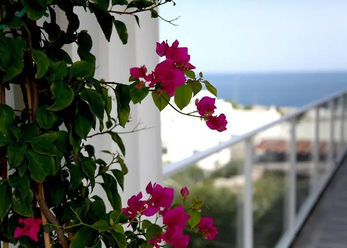 Apartament La Terrazza Di Marta- Enjoy Apulia